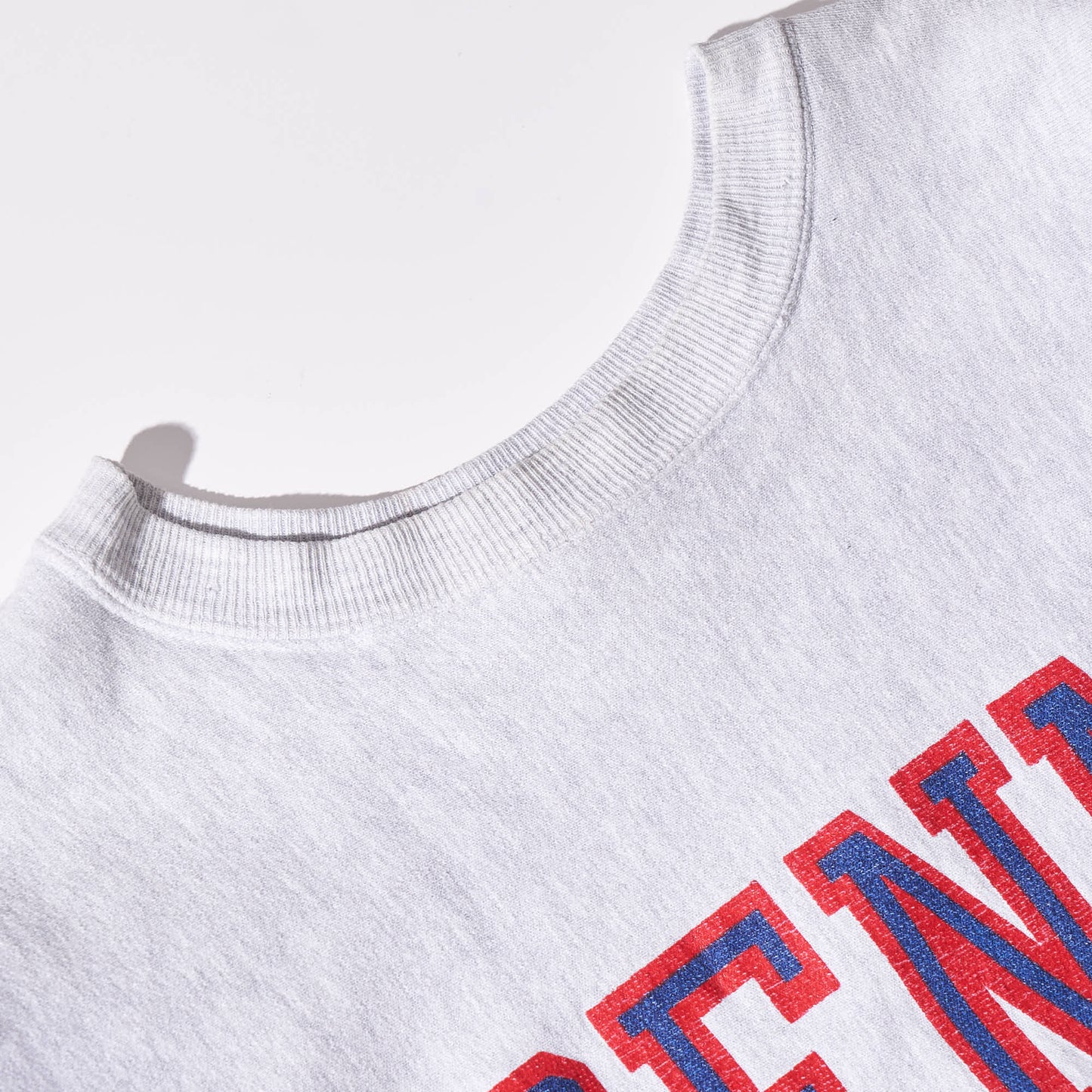 90s champion reverse weave
