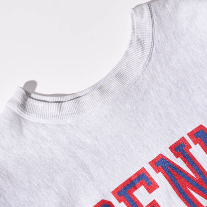 90s champion reverse weave